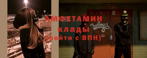 мет Алексин