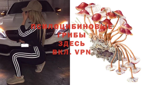 стаф Алексеевка