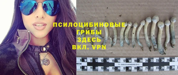 стаф Алексеевка