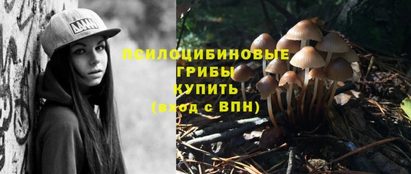 стаф Алексеевка